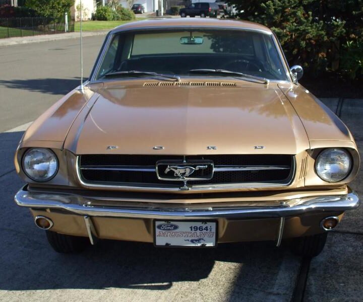 1964.5 Mustang Coupe Bronze Hood