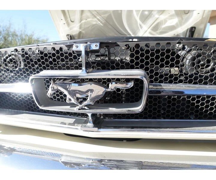 1965 Mustang Fastback Grille