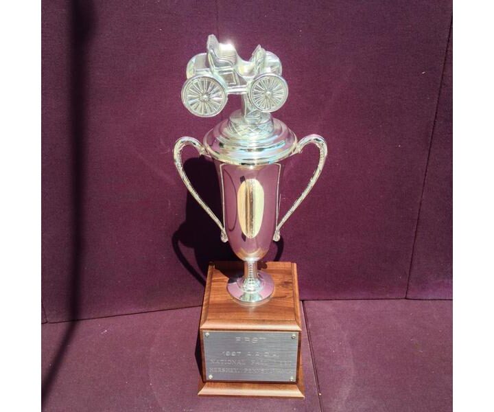 2014 Mustang GT 500 Super Snake 1st Place