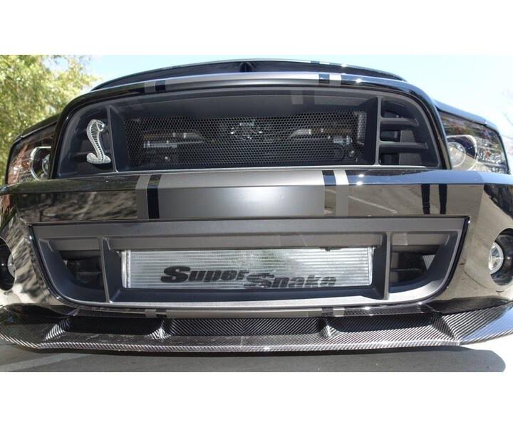 2014 Mustang GT 500 Super Snake Grille